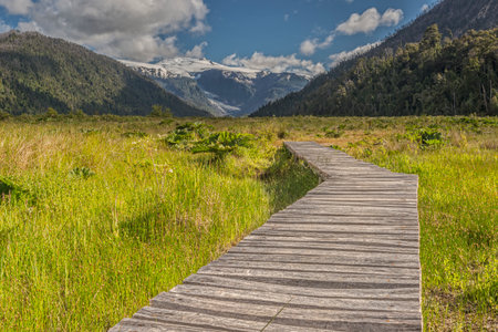 Boardwalk of the hiking path to the Michinmahuida glacier. The trail crosses the valley leading to the ice-covered towers of the volcano lying over the south part of PumalÃ­n Park in Chilean Patagoniaの写真素材