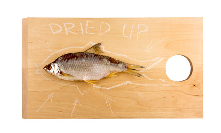 delicious dried fish on a wooden Board