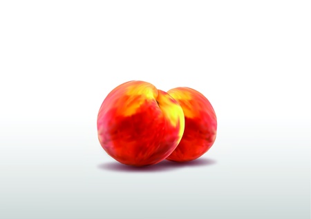 Two ripe peachesのイラスト素材