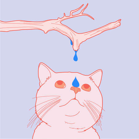 Cat catching a drop of melted water on it's noseのイラスト素材