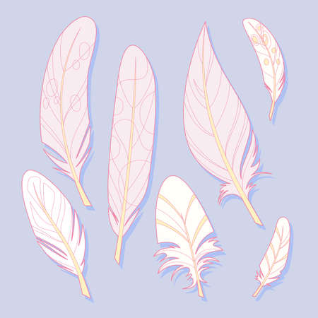 Set of light pastel feathersのイラスト素材