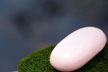 A soup on alga stoneの写真素材