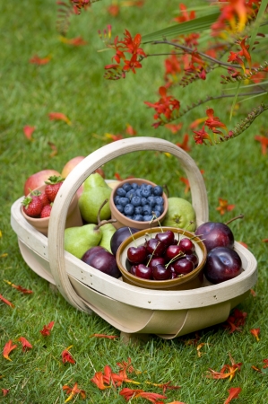 trug of harvested summer fruit including: blueberries, cherries, apples, pears, strawberries, plumsの写真素材