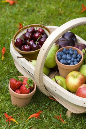 trug of harvested summer fruit including  blueberries, cherries, apples, pears, strawberries, plumsの写真素材