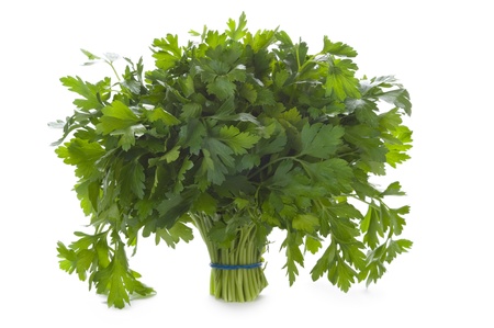 a bunch of flat leaved parsley herb isolated on a white background の写真素材