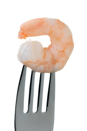 one fresh king prawn on a fork against a white backgroundの写真素材