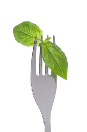 basil herb leaves on a fork against white backgroundの写真素材