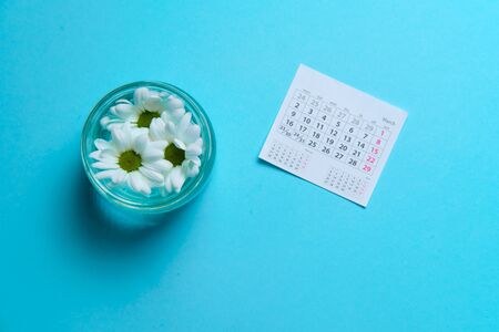 charmomiles in coffee cup near to calendarの写真素材