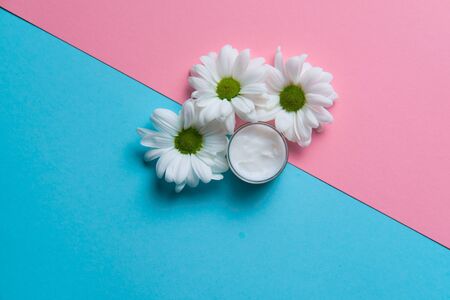 chamomile flowers in front of skin care cream on two colored blue and pink background, healthy natural cosmetic skincare conceptの写真素材