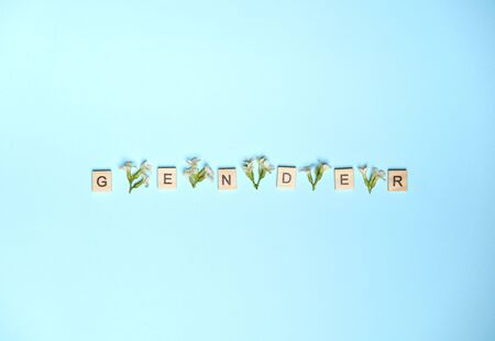 Word gender depicted by using wooden blocks and flowers on colorful blue background.の写真素材