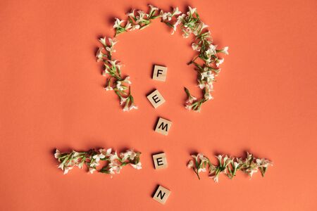 Femen on wooden alphabet, symbolizing woman gender and equality, protectionの写真素材