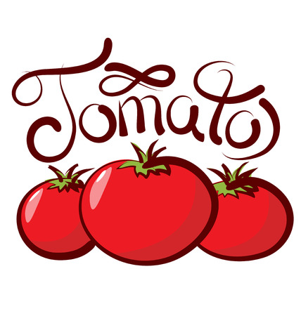 vector tomato with calligraphic inscriptionのイラスト素材