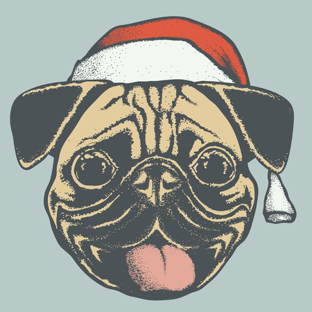 Christmas pug dog vector illustration. Pug dog head with Santa hat. Adorable Chinese pug dog vector characterのイラスト素材