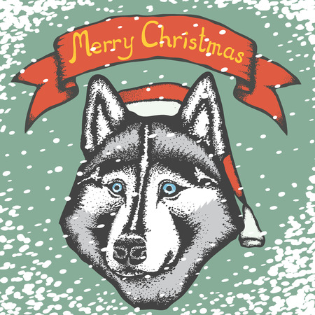 Christmas dog concept. Vector siberian husky in Santa hatのイラスト素材