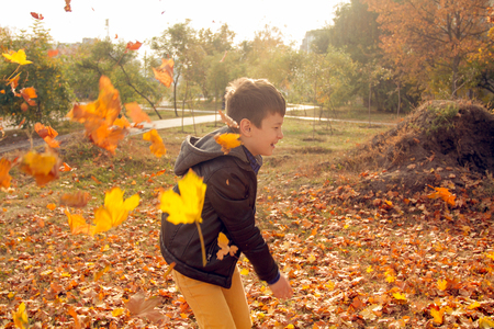 Happy boy have fun in the autumn park, throw up leaves, smie and laughの写真素材