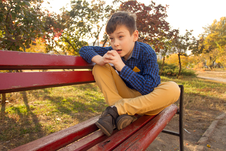 Boy sitting on the bench in the autumn park with yellow leafの写真素材