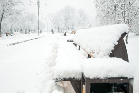 Winter beauty. Park with Trees covered with Snowwith people silhouettes. Solitude concept. Snowfall seasonal beautyの写真素材