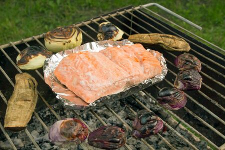 Fish On Barbecue Rack. Picnic. Grilling Outdoors At Summer Weekend. Barbecued Fresh Salmon With Trout And Onionの写真素材