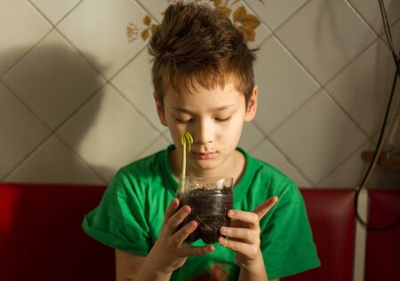 Boy with chickenpox grow plant from the seed. Chickenpox rash. Sprouted seed