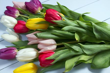A bouquet of color tulips on the floor. A gift to a women day. Spring tulips flowers backgroundの写真素材