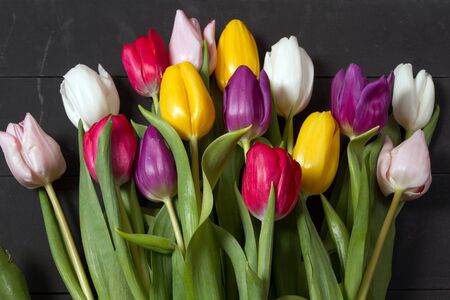 A bouquet of color tulips on the floor. A gift to a women day. Spring tulips flowers backgroundの写真素材