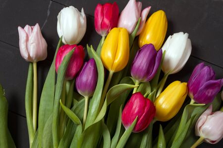 A bouquet of color tulips on the floor. A gift to a women day. Spring tulips flowers backgroundの写真素材