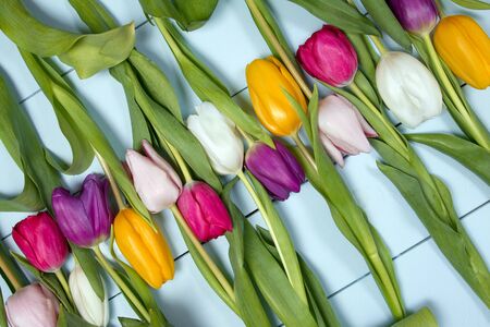 A bouquet of color tulips on the floor. A gift to a women day. Spring tulips flowers backgroundの写真素材