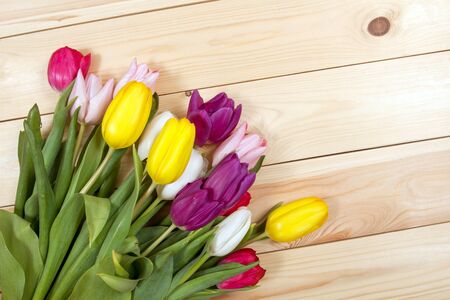 A bouquet of color tulips on the floor. A gift to a women day. Spring tulips flowers backgroundの写真素材