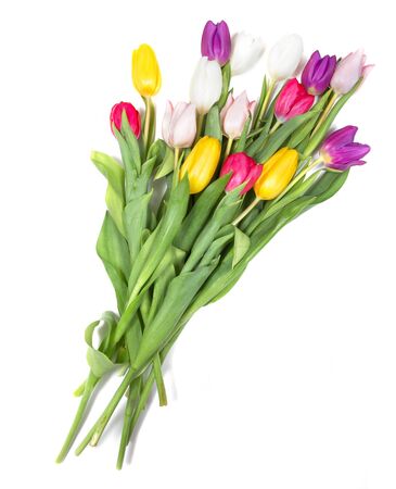 A bouquet of color tulips on the floor. A gift to a women day. Spring tulips flowers backgroundの写真素材