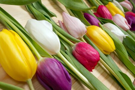 A bouquet of color tulips on the floor. A gift to a women day. Spring tulips flowers backgroundの写真素材