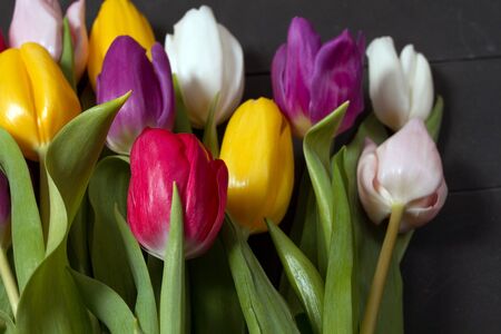 A bouquet of color tulips on the floor. A gift to a women day. Spring tulips flowers backgroundの写真素材