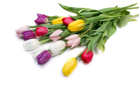 A bouquet of color tulips on the floor. A gift to a women day. Spring tulips flowers backgroundの写真素材