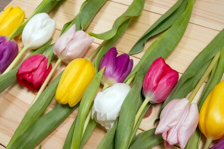 A bouquet of color tulips on the floor. A gift to a women day. Spring tulips flowers backgroundの写真素材