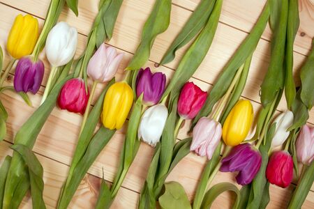 A bouquet of color tulips on the floor. A gift to a women day. Spring tulips flowers backgroundの写真素材