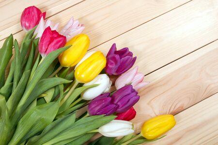 A bouquet of color tulips on the floor. A gift to a women day. Spring tulips flowers backgroundの写真素材