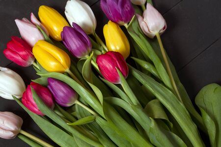 A bouquet of color tulips on the floor. A gift to a women day. Spring tulips flowers backgroundの写真素材