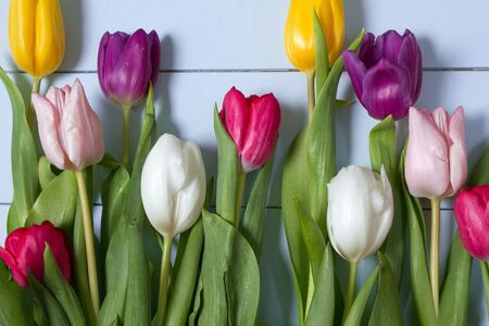 A bouquet of color tulips on the floor. A gift to a women day. Spring tulips flowers backgroundの写真素材