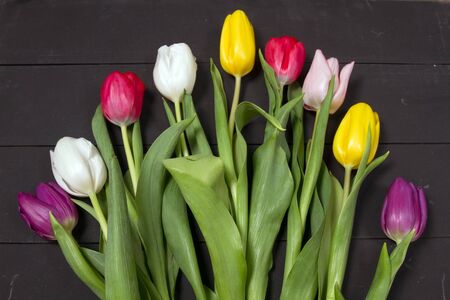 A bouquet of color tulips on the floor. A gift to a women day. Spring tulips flowers backgroundの写真素材
