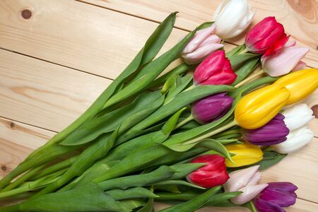 A bouquet of color tulips on the floor. A gift to a women day. Spring tulips flowers backgroundの写真素材