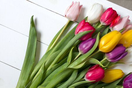 A bouquet of color tulips on the floor. A gift to a women day. Spring tulips flowers backgroundの写真素材