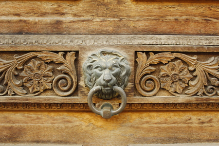 lionの写真素材