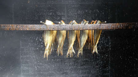 smoked herringのeditorial素材