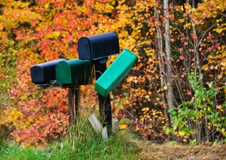 Mailboxes against autumn foliage treesの写真素材