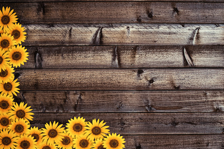 Wooden plank background with sunflowers borderの写真素材