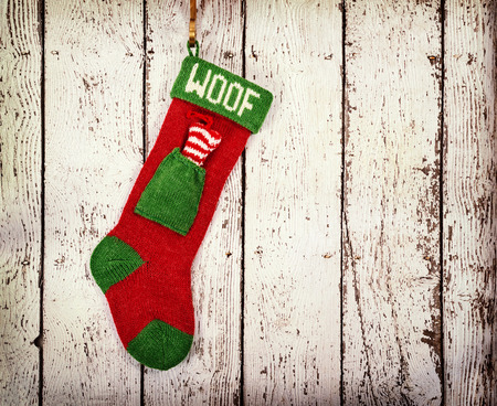 Christmas stocking for a dog hanging on vintage white wooden background