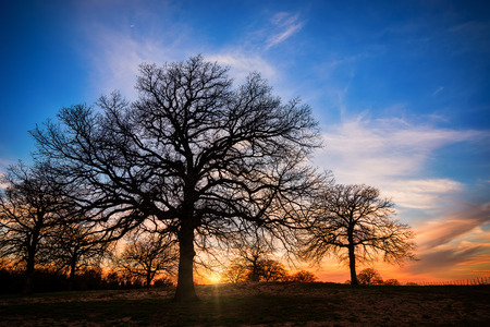 Texas winter sunset over pastureの写真素材