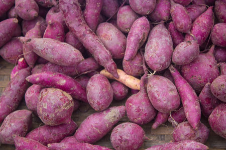 Sweet potatoの写真素材