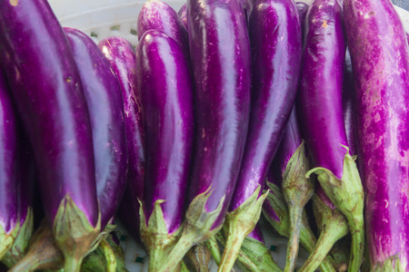 Eggplantの写真素材