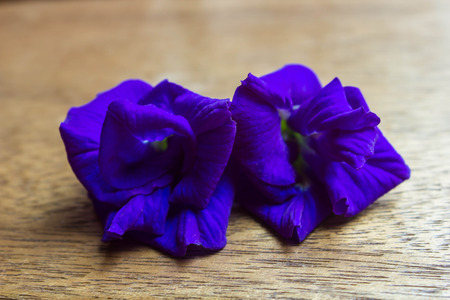 Butterfly pea flower with wooden backgroundの写真素材
