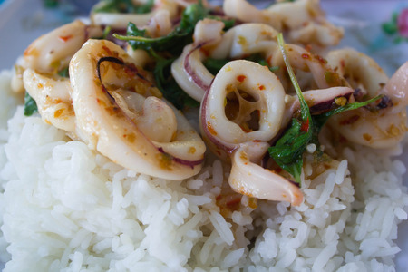 Pad kra pro, Stir fried squid with chilli and basilの写真素材